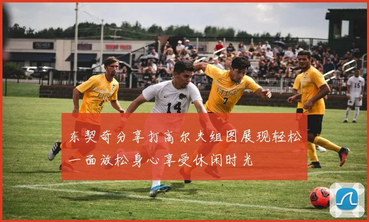 东契奇分享打高尔夫组图展现轻松一面放松身心享受休闲时光